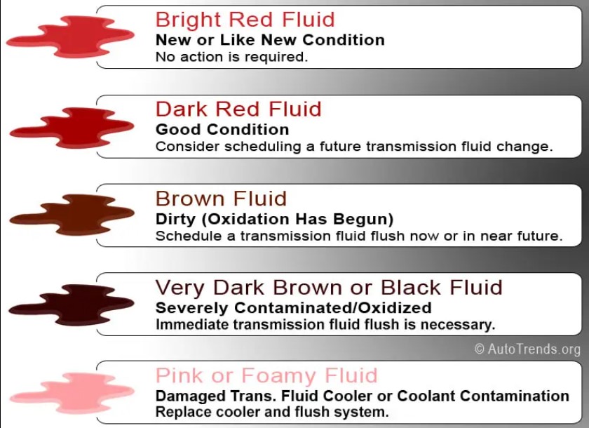 Fluid Flush Service Reference Chart